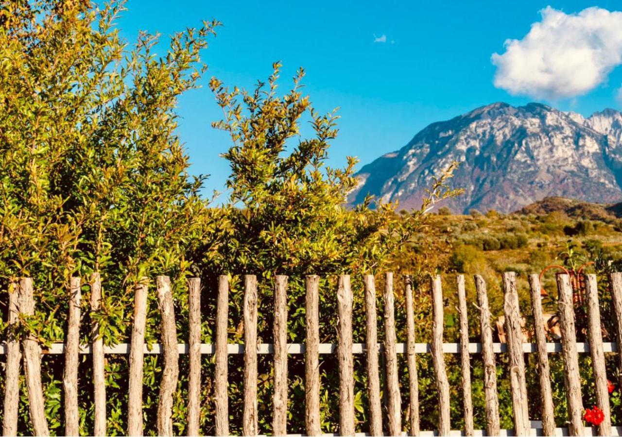 Hotel Alpeta Agrotourism & Winery - Roshnik , Berat Exterior foto