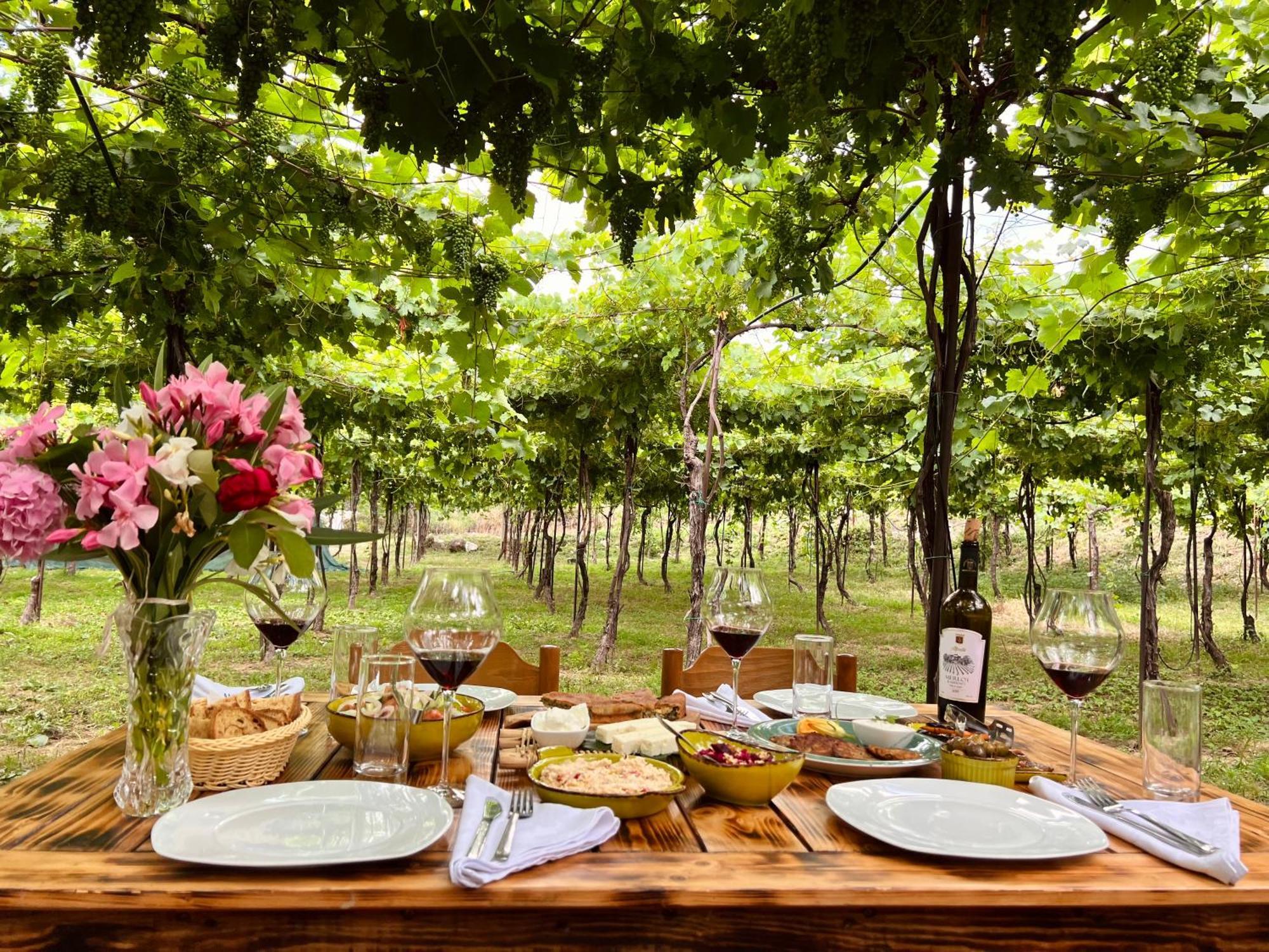 Hotel Alpeta Agrotourism & Winery - Roshnik , Berat Exterior foto
